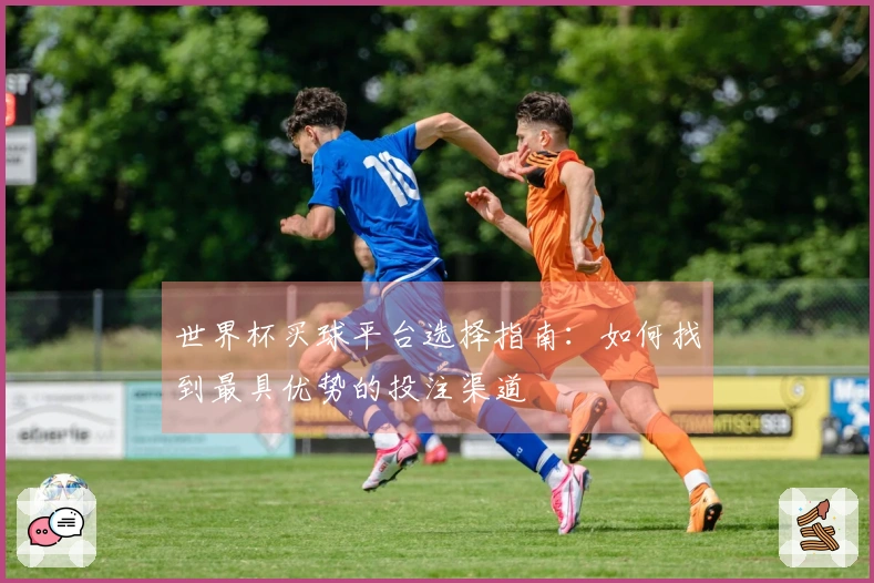世界杯买球平台选择指南:如何找到最具优势的投注渠道