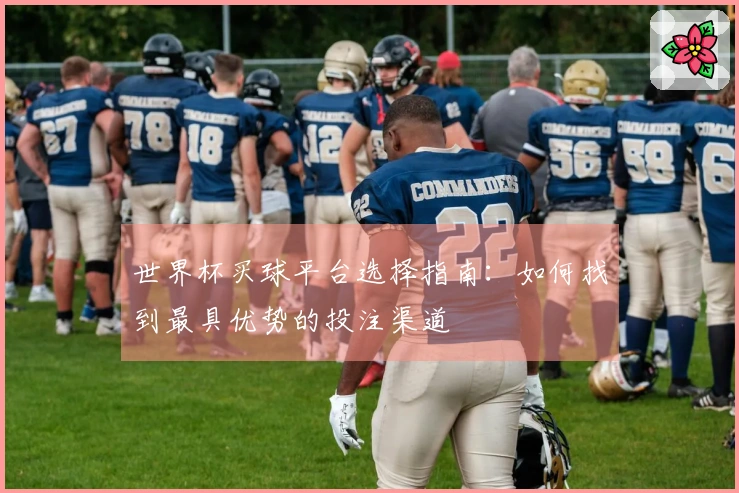世界杯买球平台选择指南：如何找到最具优势的投注渠道