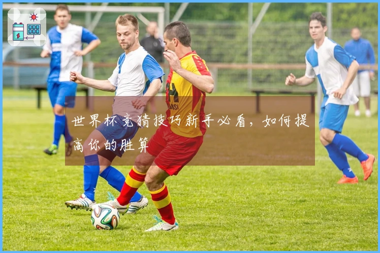 世界杯竞猜技巧新手必看, 如何提高你的胜算