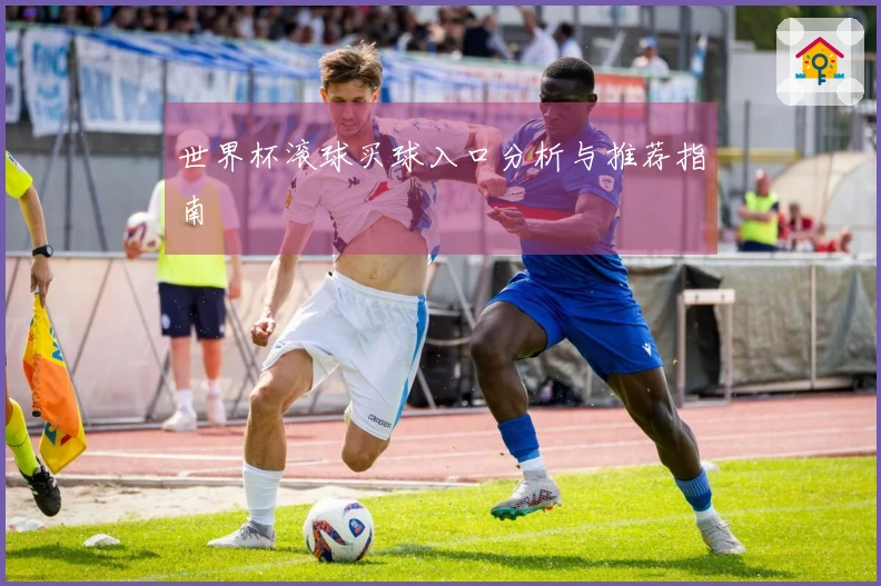 世界杯滚球买球入口分析与推荐指南