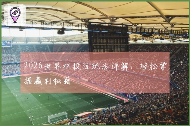 2026世界杯投注玩法详解，轻松掌握赢利秘籍