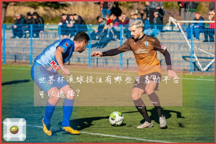 世界杯滚球投注有哪些可靠的平台可以选择？