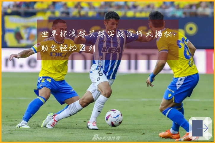 世界杯滚球买球实战技巧大揭秘，助你轻松盈利