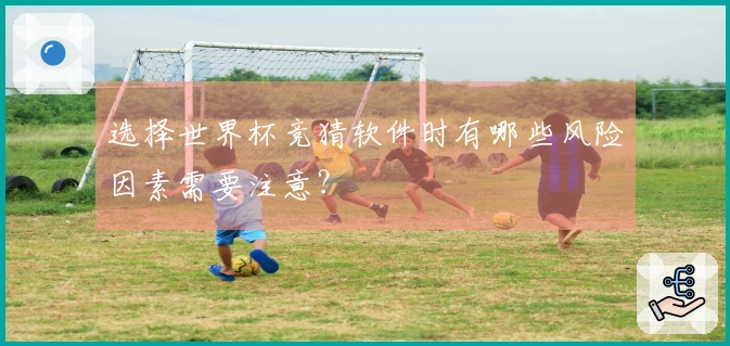 选择世界杯竞猜软件时有哪些风险因素需要注意？